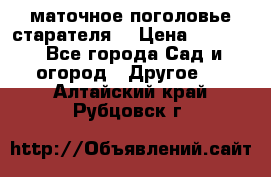 маточное поголовье старателя  › Цена ­ 3 700 - Все города Сад и огород » Другое   . Алтайский край,Рубцовск г.